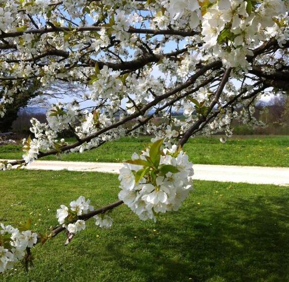 ベッドアンドブレックファースト La Ruelle Au Verjus