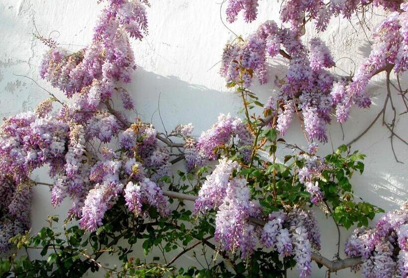 ベッドアンドブレックファースト La Ruelle Au Verjus