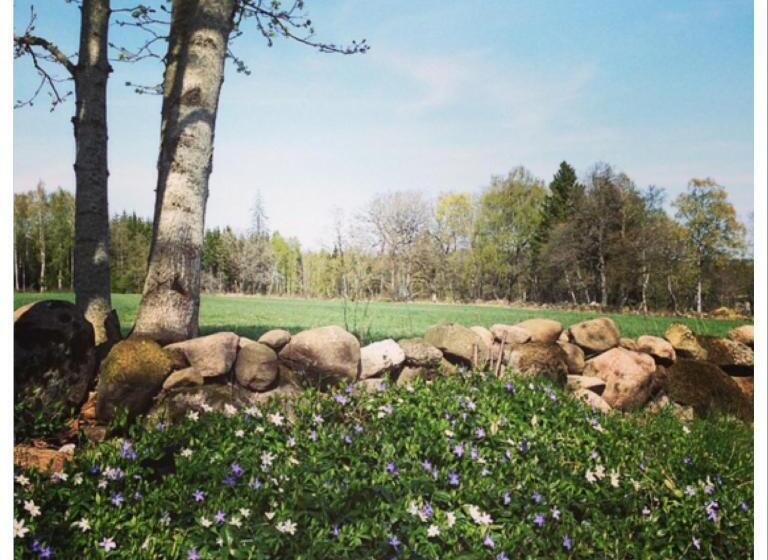 مبيت وإفطار Lavendeltorpet