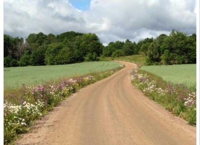 مبيت وإفطار Lavendeltorpet