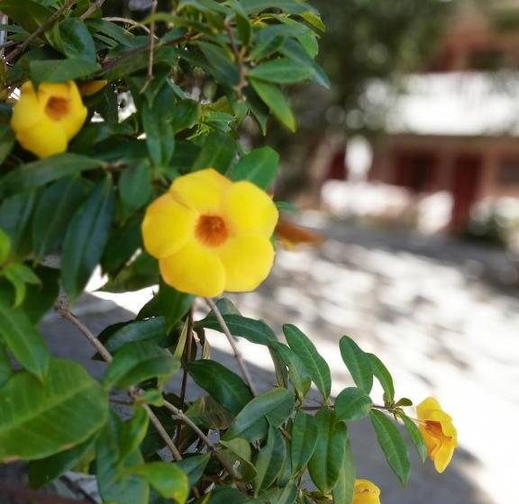 Coimbra Hotel Pousada