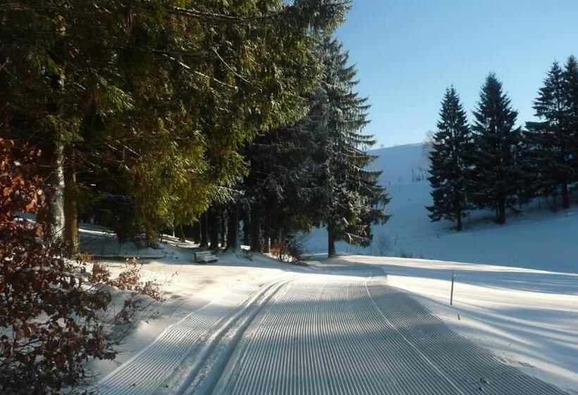 Familien Hotel Am Tränkbachtal Frauenwald