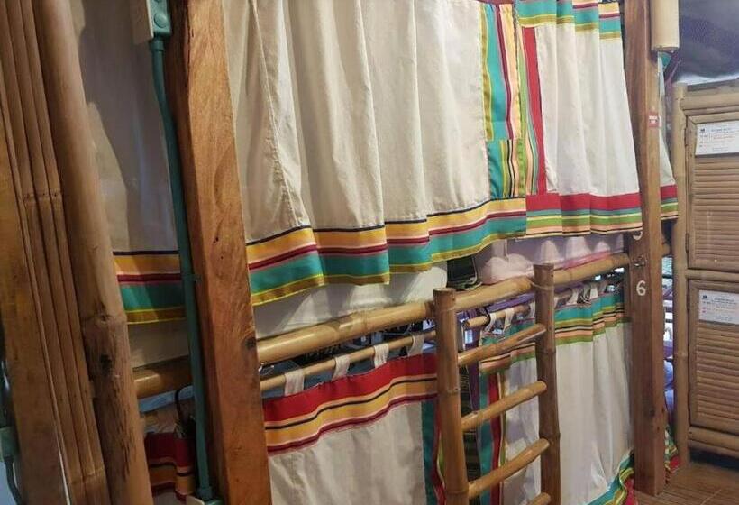 Flotsam And Jetsam Artist Beach Hostel