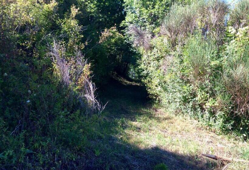 酒店 Masseria Degli Alberti