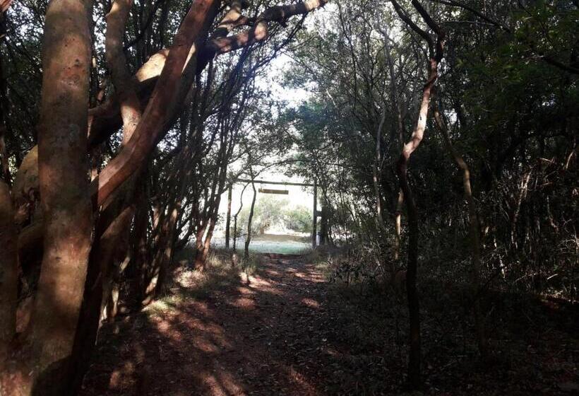 فندق Paso Severino Centro De Recreación