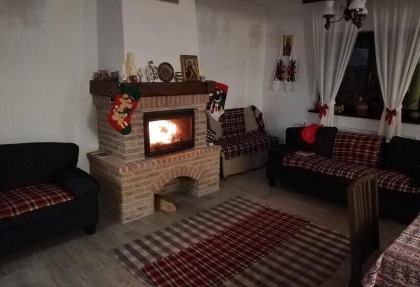 호텔 Pensiunea Pietrosul Rodnei