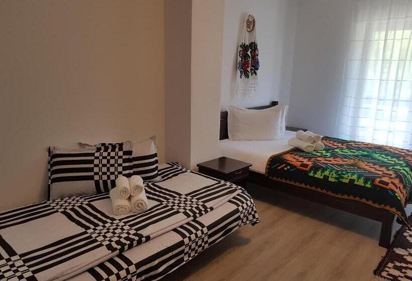 호텔 Pensiunea Pietrosul Rodnei