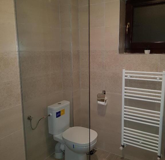 호텔 Pensiunea Pietrosul Rodnei