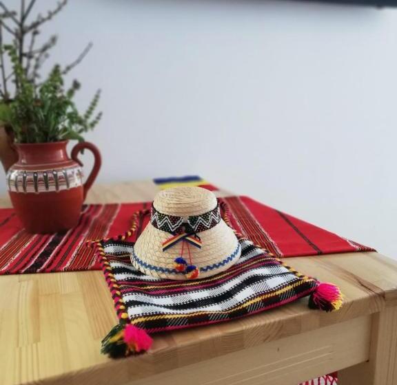 호텔 Pensiunea Pietrosul Rodnei