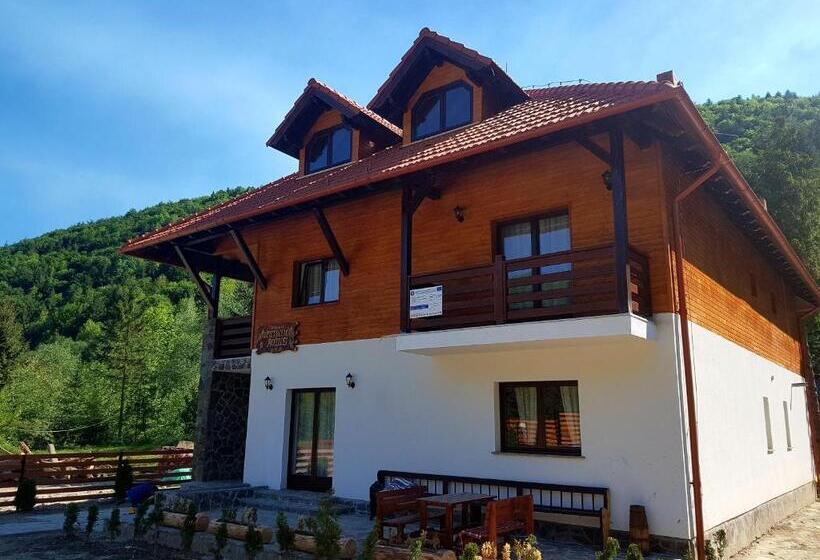 호텔 Pensiunea Pietrosul Rodnei