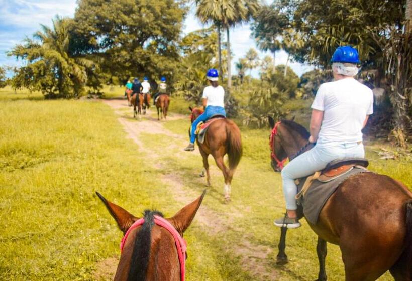فندق Pousada São João   Estrada Parque Pantanal