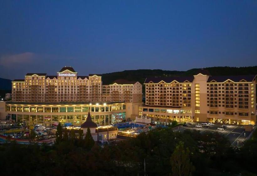 فندق Sono Belle Cheonan