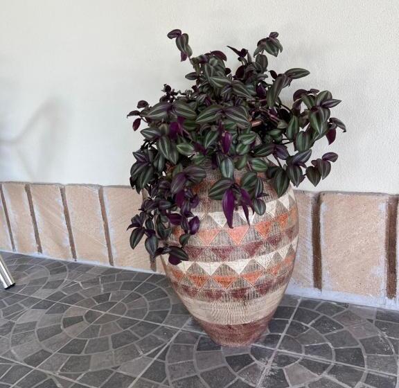 בית מלון כפרי Su Tasuru