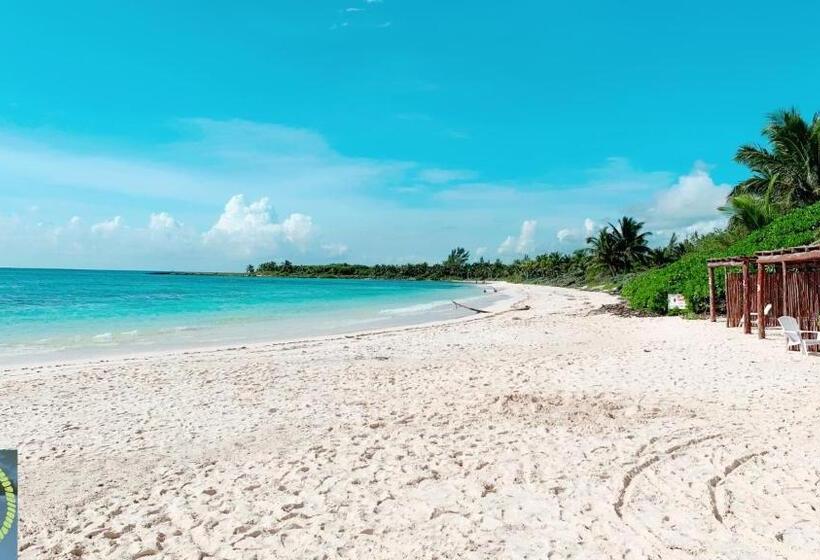 فندق Xpuha Bonanza