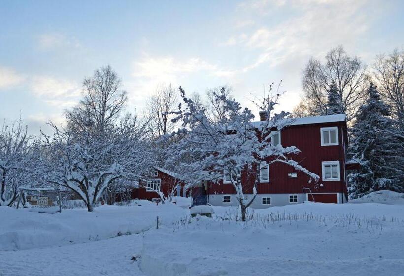 Muses Bnb Bed & Breakfast