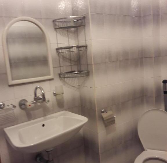 Пансион къща за гости петрови