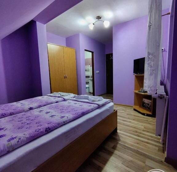 פנסיון Casa Cosmin Cincu