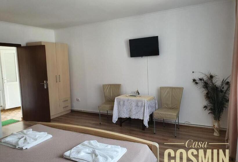 بنسيون Casa Cosmin Cincu