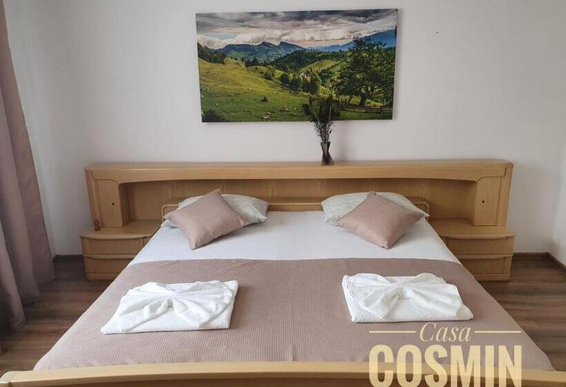 بنسيون Casa Cosmin Cincu