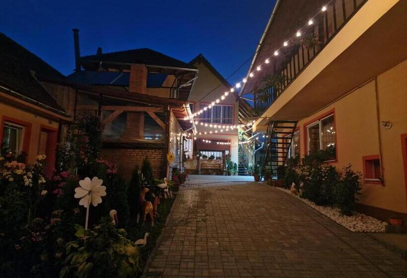 بنسيون Casa Cosmin Cincu