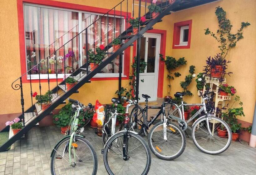 بنسيون Casa Cosmin Cincu