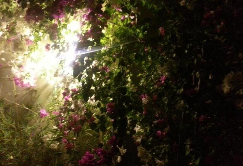 پانسیون Golden Lilies