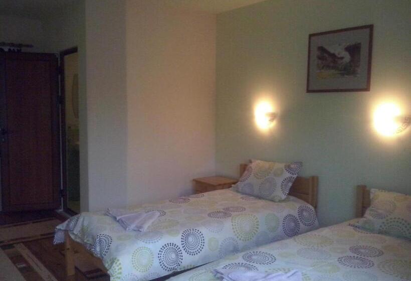 Пансион Guest House Friends