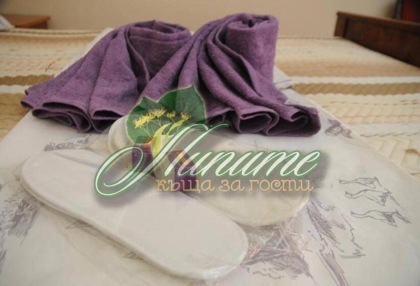 بنسيون Guest House Lipite