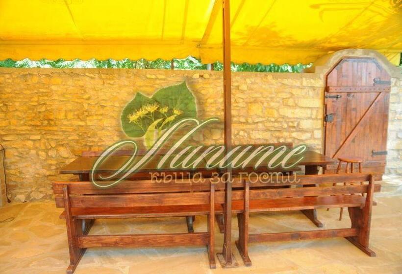 بنسيون Guest House Lipite