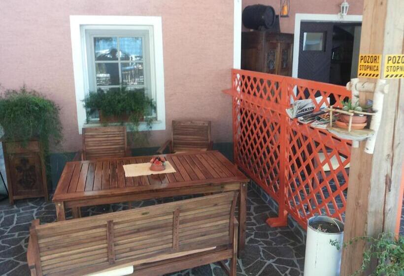 پانسیون Guesthouse Pri županu