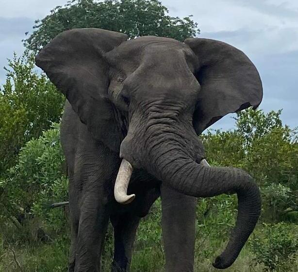 פנסיון Overnight Stop Before Kruger National Park