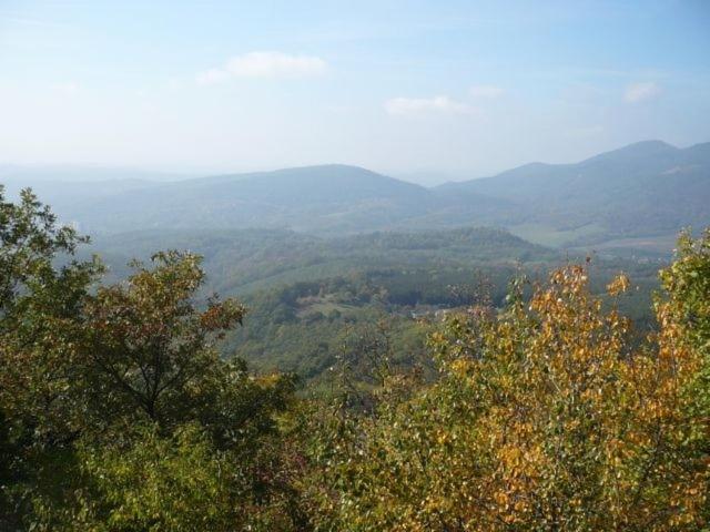 ペンション Palócföld Vendégház