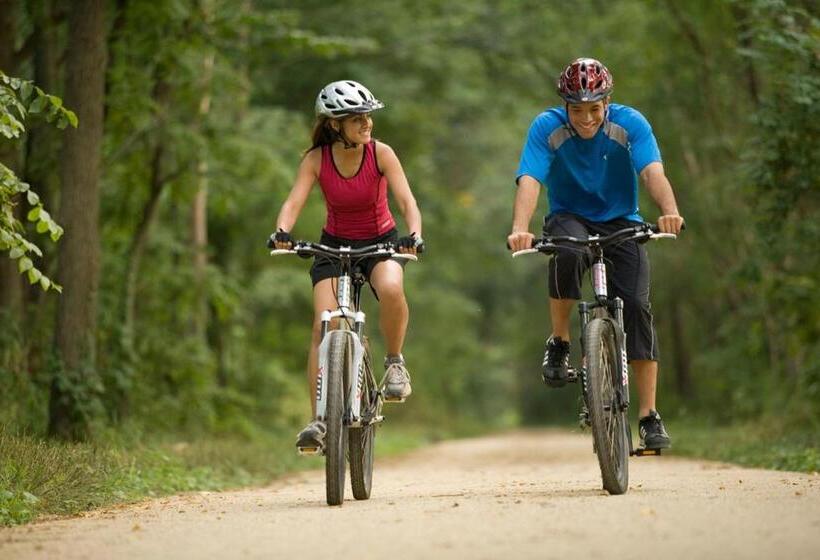 펜션 Penzión Roal Pieniny