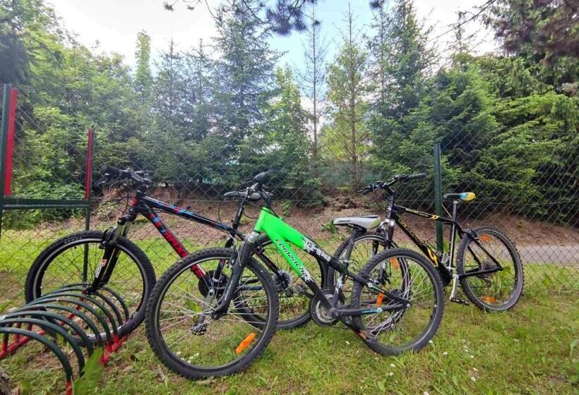 펜션 Penzión Roal Pieniny