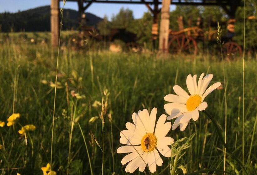 膳宿费 Penzión Roal Pieniny
