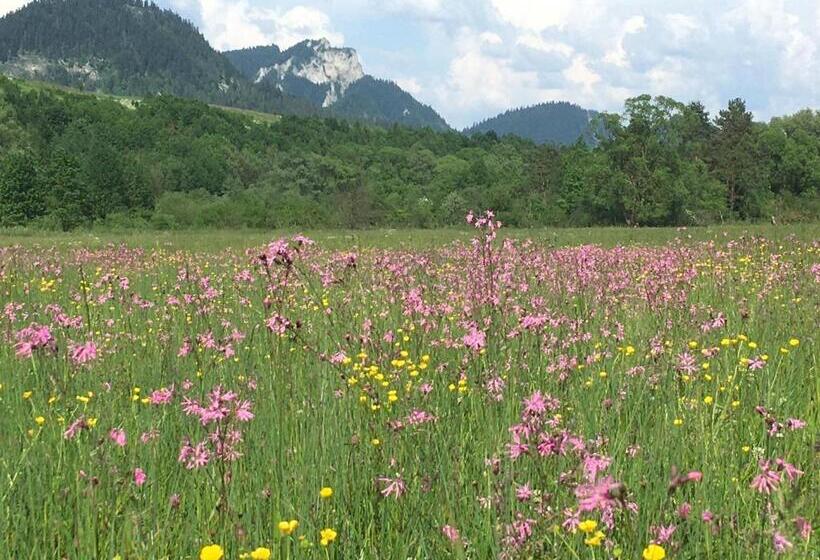 펜션 Penzión Roal Pieniny