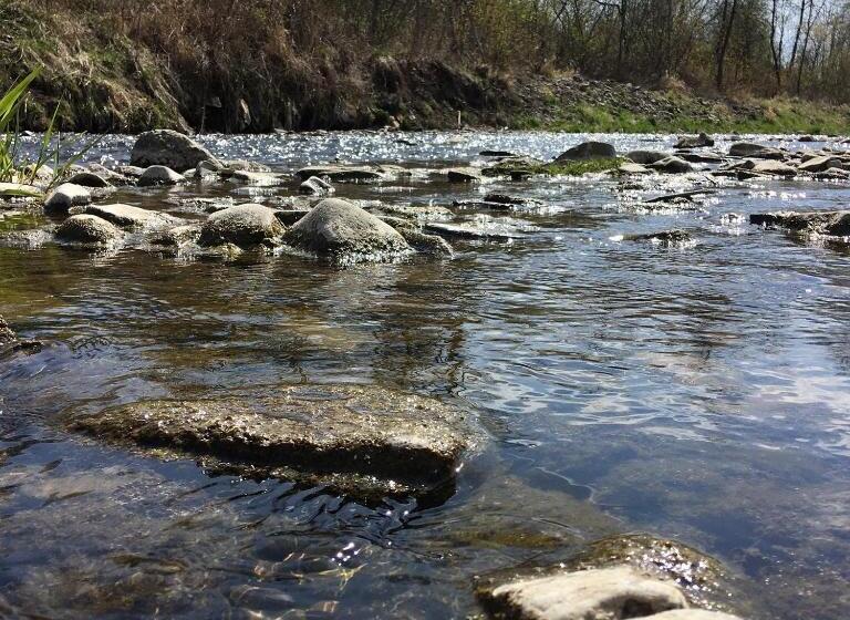 펜션 Penzión Roal Pieniny