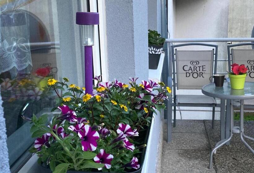 펜션 Penzión Roal Pieniny