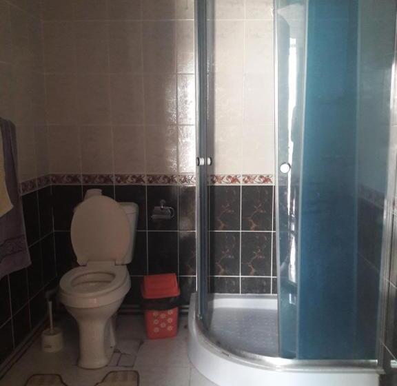 پانسیون Shyrdak Travel