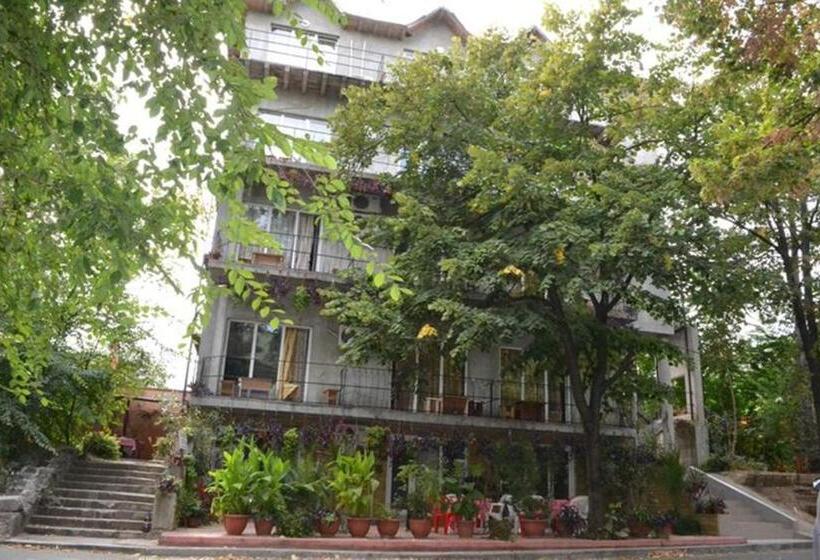 Пансион Vila Denisa