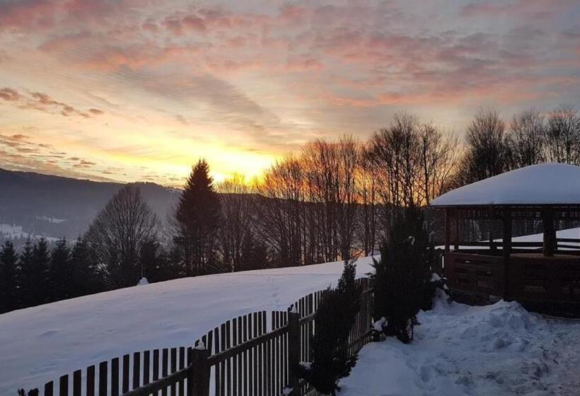 Pensiunea Bujor De Munte Colibita