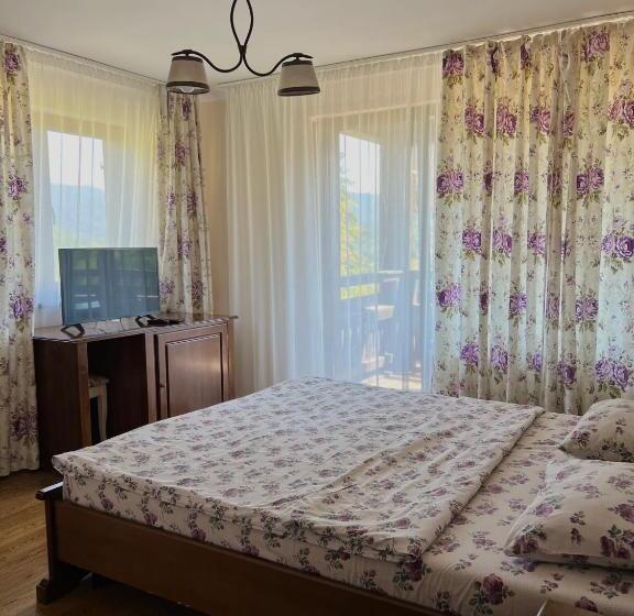 Pensiunea Bujor De Munte Colibita