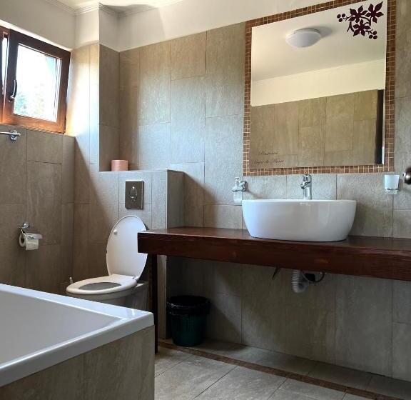 Pensiunea Bujor De Munte Colibita