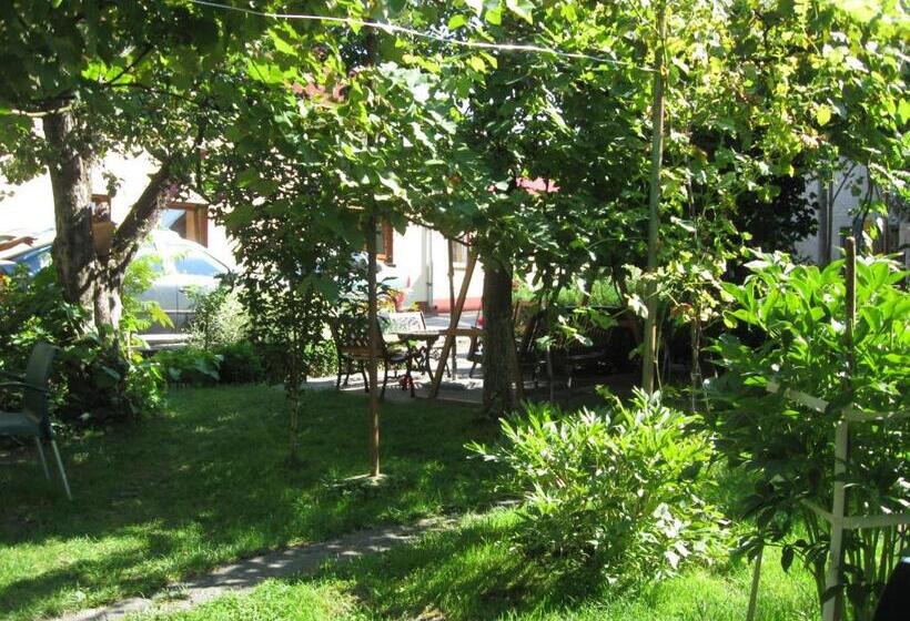 Pensiunea Casa Vulkan