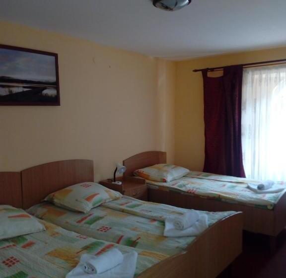 Pensiunea Casa Vulkan