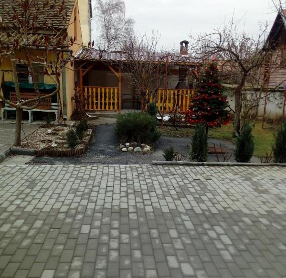 Pensiunea Casa Vulkan