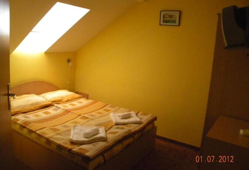 Pensiunea Casa Vulkan