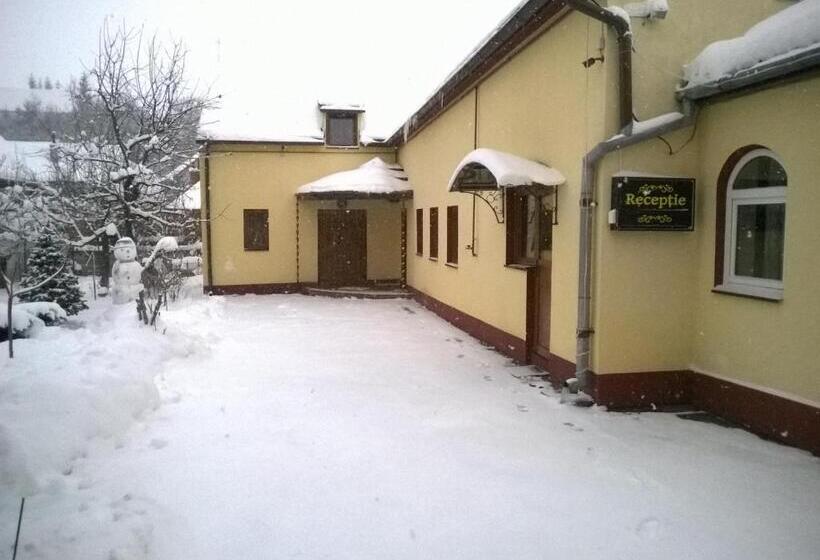 Pensiunea Casa Vulkan