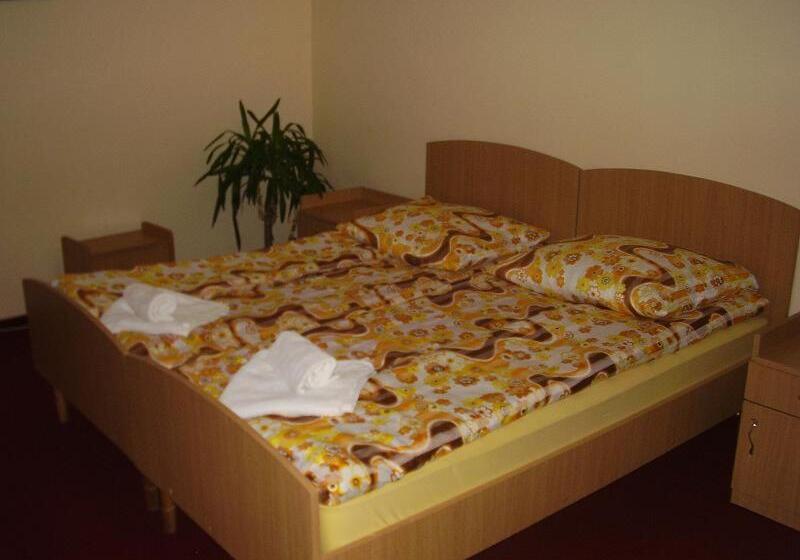 Pensiunea Casa Vulkan