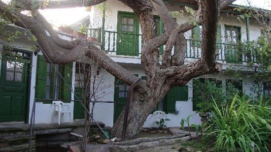 مبيت وإفطار Antony S Garden House
